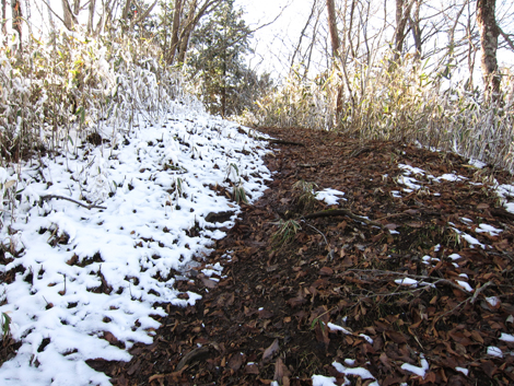 20191129hike (509)